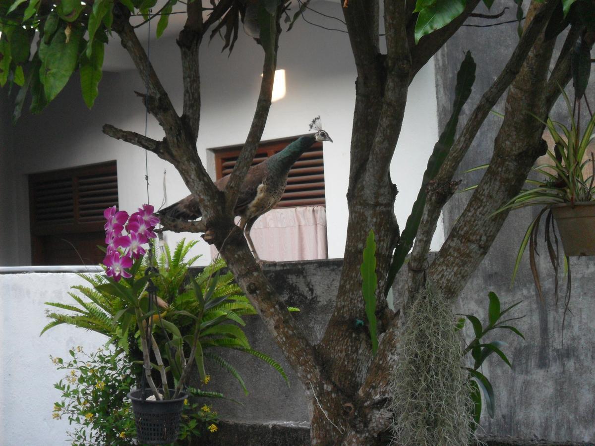 Sun Hill Home Weligama Exteriör bild